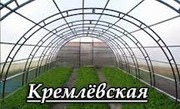 Теплица Кремлёвская с доставкой в  СНТ Московскую область